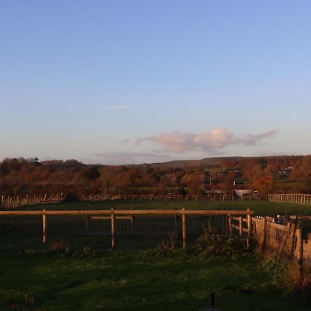 Mapperton Barn House B&B Nr Stourhead & Longleat Mere  ภายนอก รูปภาพ